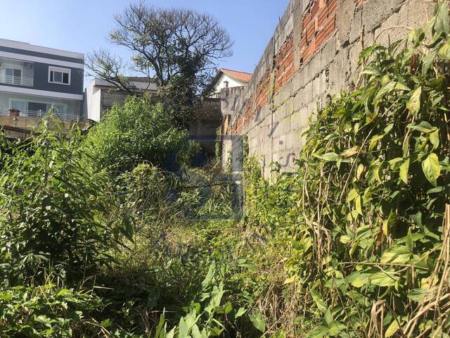 Terreno para Venda em Osasco - 4