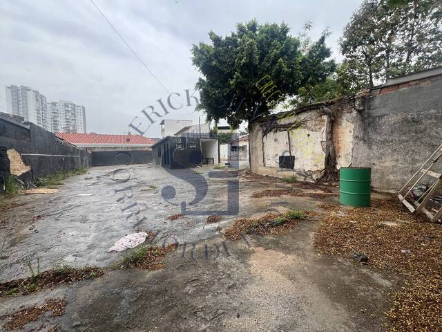 #660 - Terreno para Locação em Osasco - SP - 3