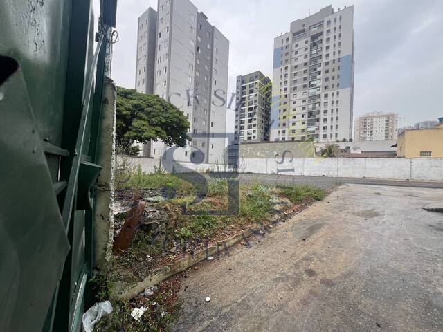 Terreno para Locação em Osasco - 4