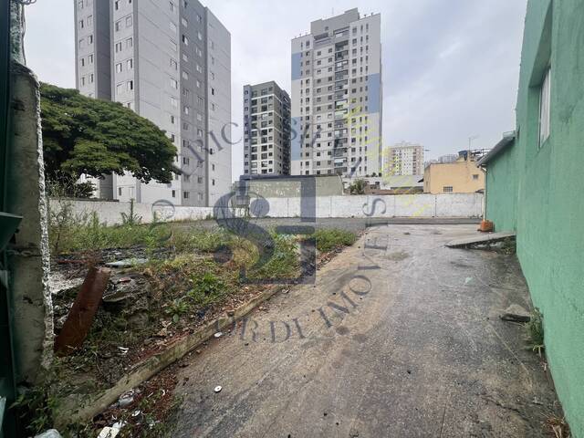 Terreno para Locação em Osasco - 5