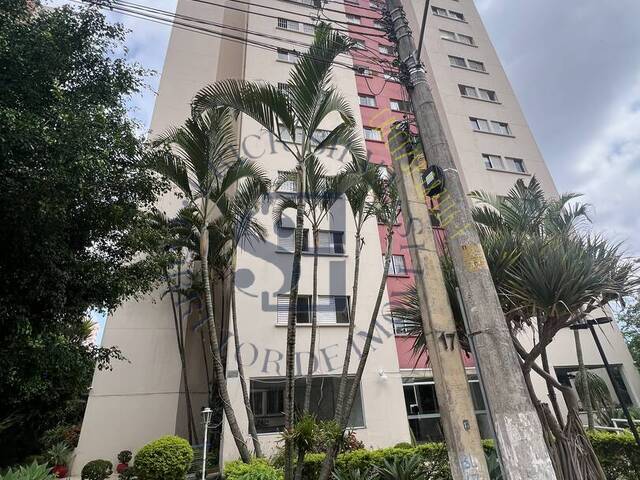 Apartamento para Locação em Osasco - 3