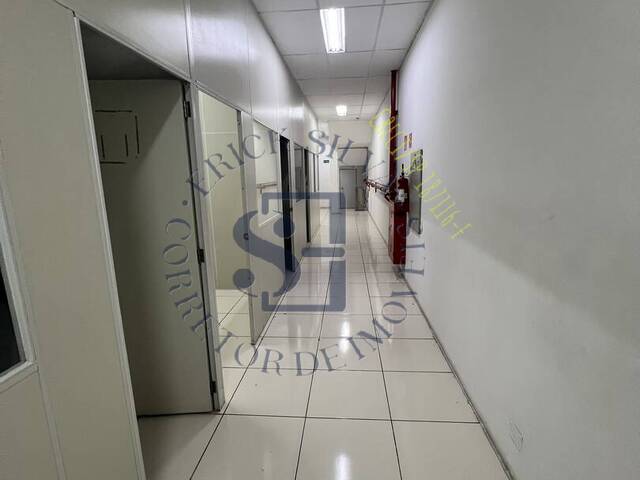 Salão Comercial para Locação em Osasco - 5